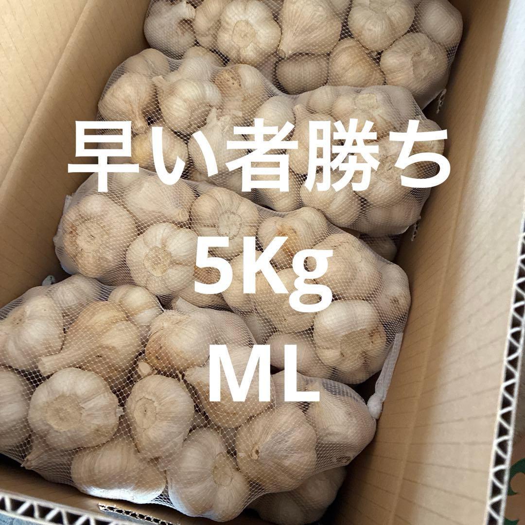 新物　青森県にんにく5Kg ML