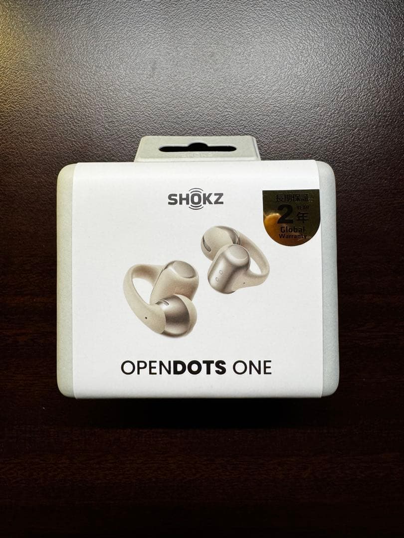 【新品未開封】SHOKZ OPENDOTS ONE グレー 公式サイト品