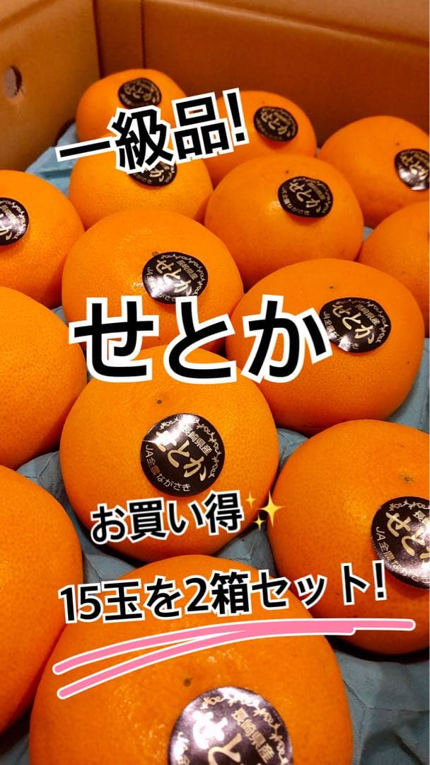 せとか 15玉の2箱セット