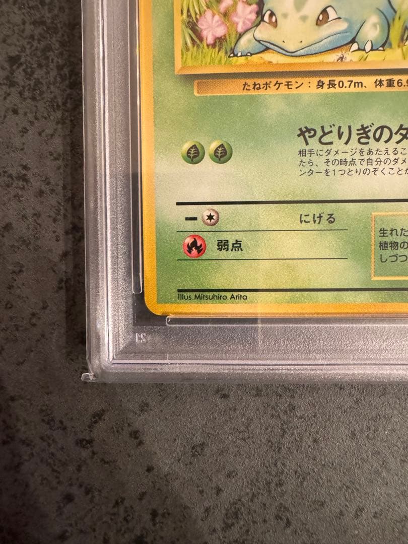 【PSA9 初版】フシギダネ ポケモンカード 旧裏 初版 マークなし