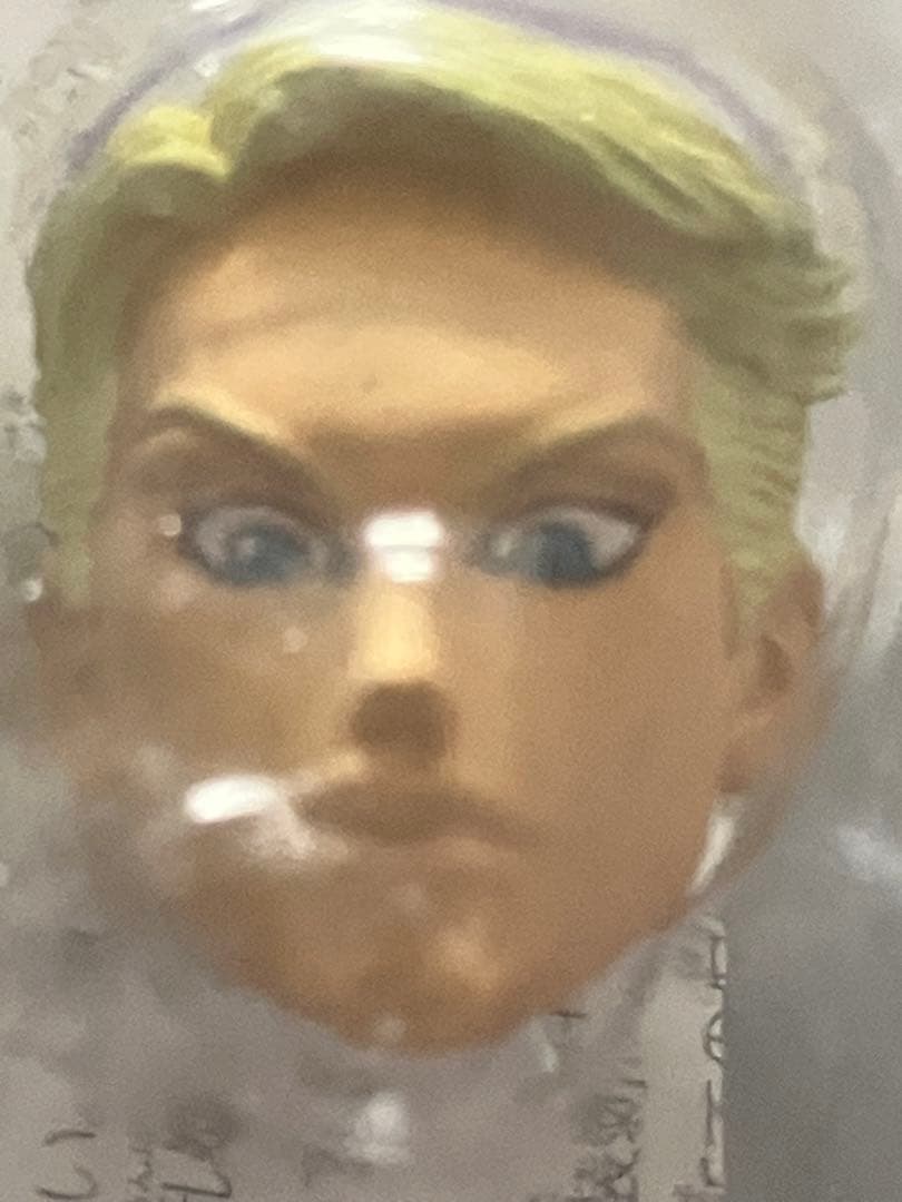 超像可動　プロシュート　WF限定版　特典付き