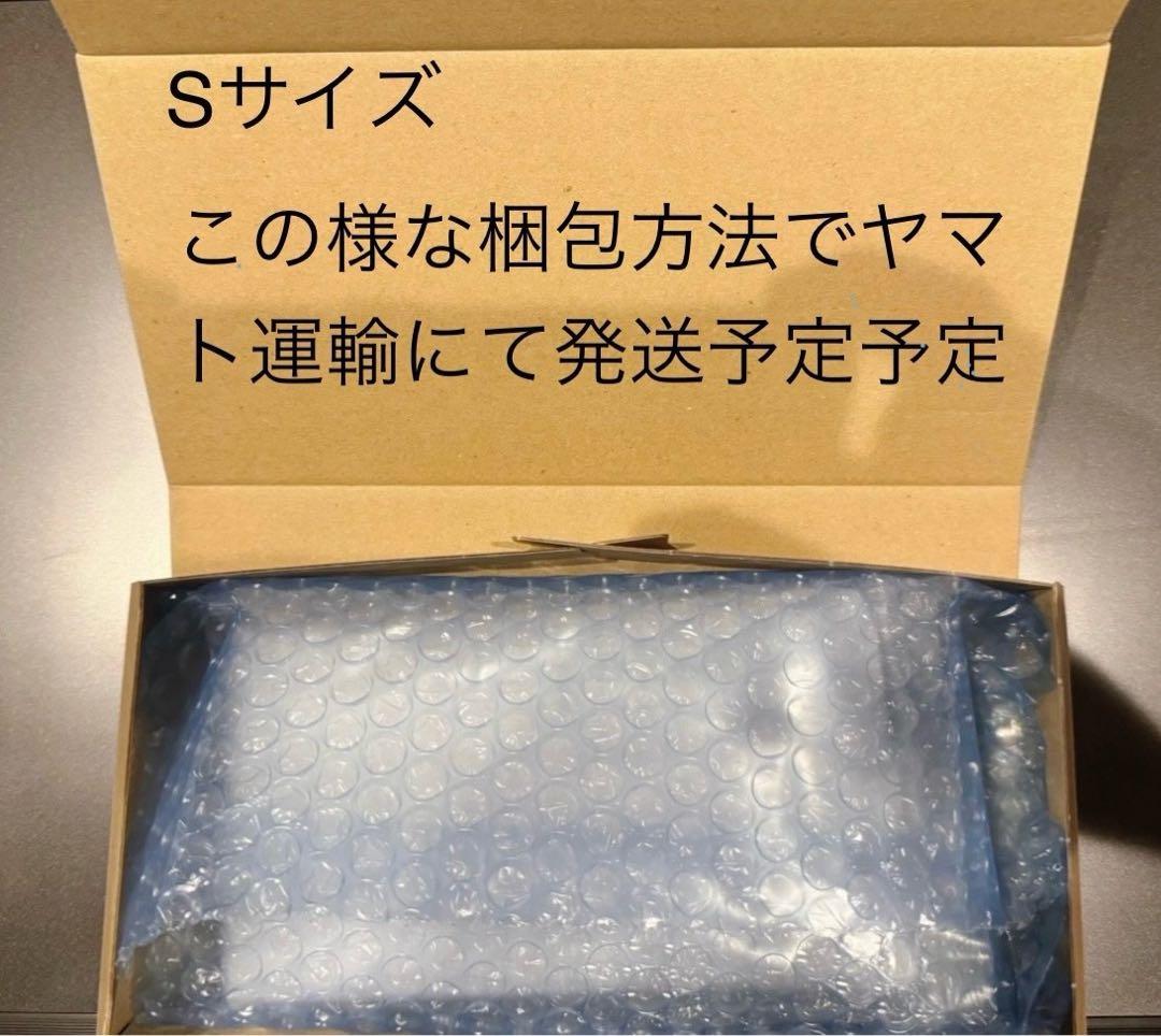 PSA10マリィのオーロンゲ ex5519