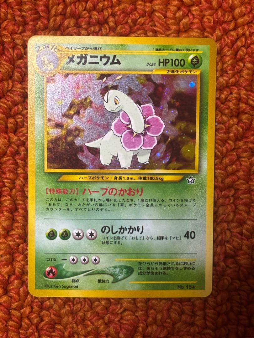 旧裏　プレミアムファイル　御三家　まとめ売り