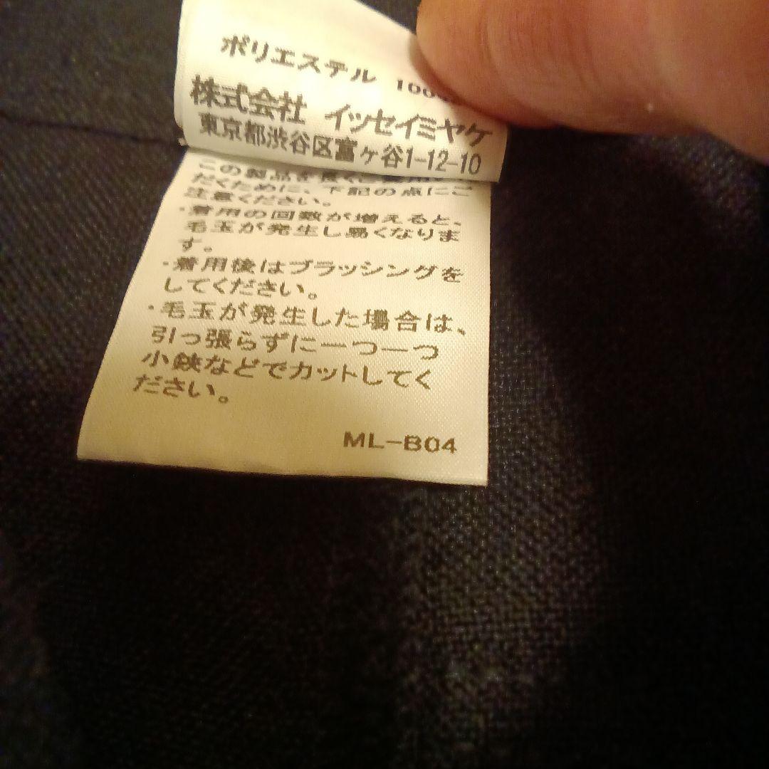 イッセイミヤケｍｅ 太プリーツ　ガウチョ