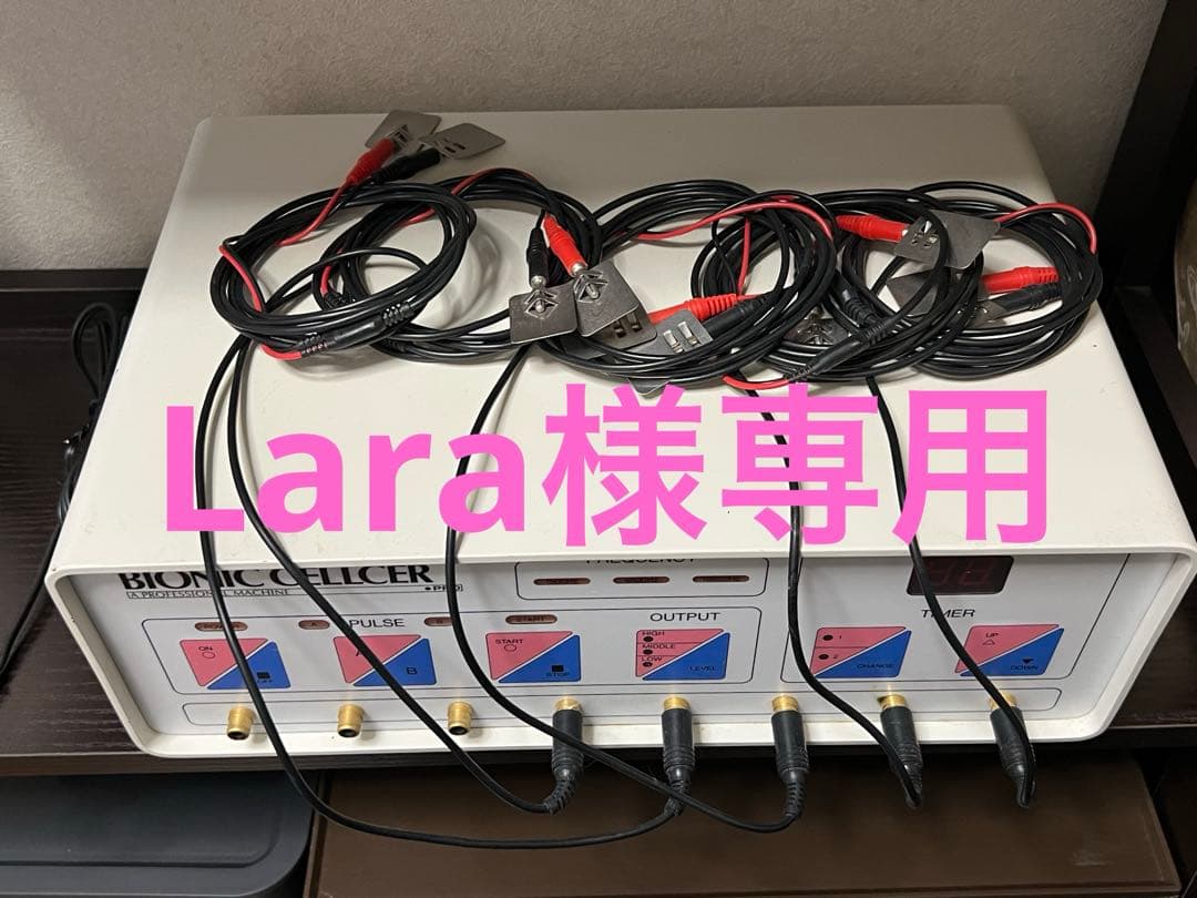 バイオニックセルサーと布マスク1枚、手作り布マスク(背中、デコルテ、腕、足)