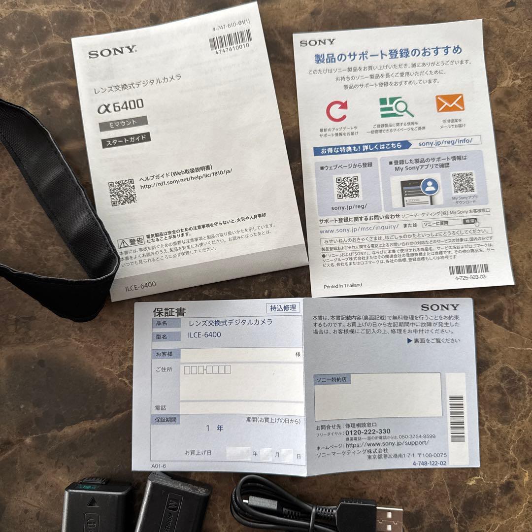 【3139枚！】SONY α6400 ミラーレスカメラ 本体