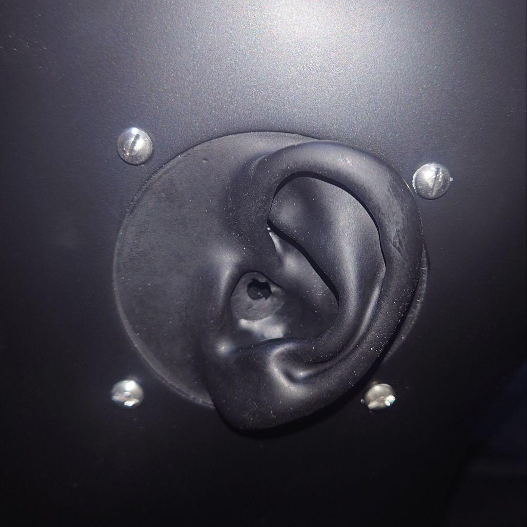 Binaural Enthusiast B1-E ダミーヘッド