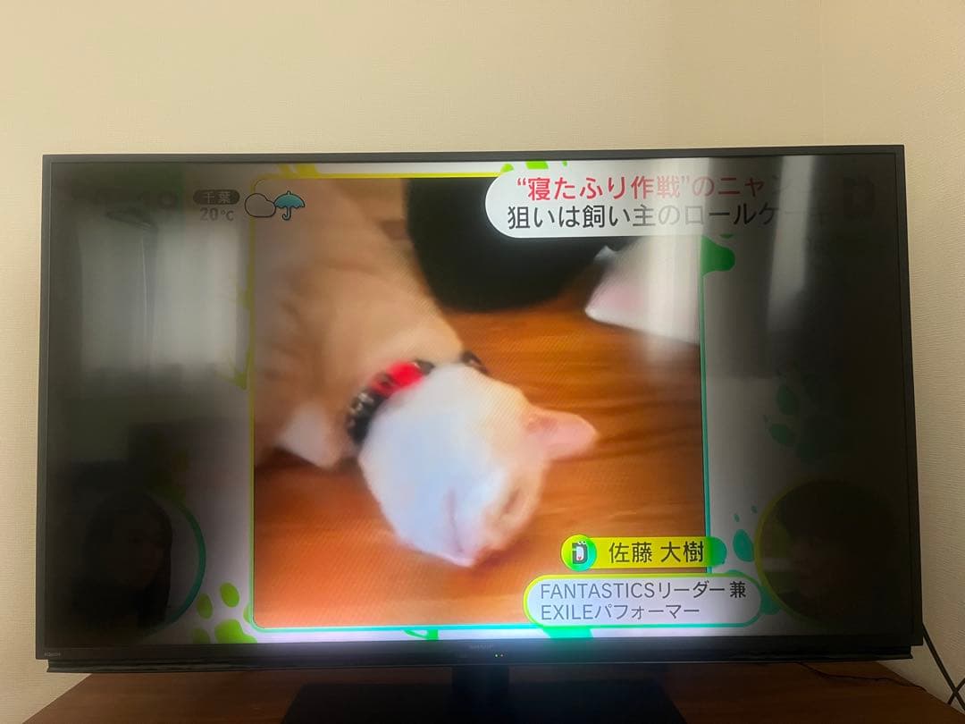 液晶テレビ AQUOS アクオス　4TC50CH-1 2022年製　ジャンク品