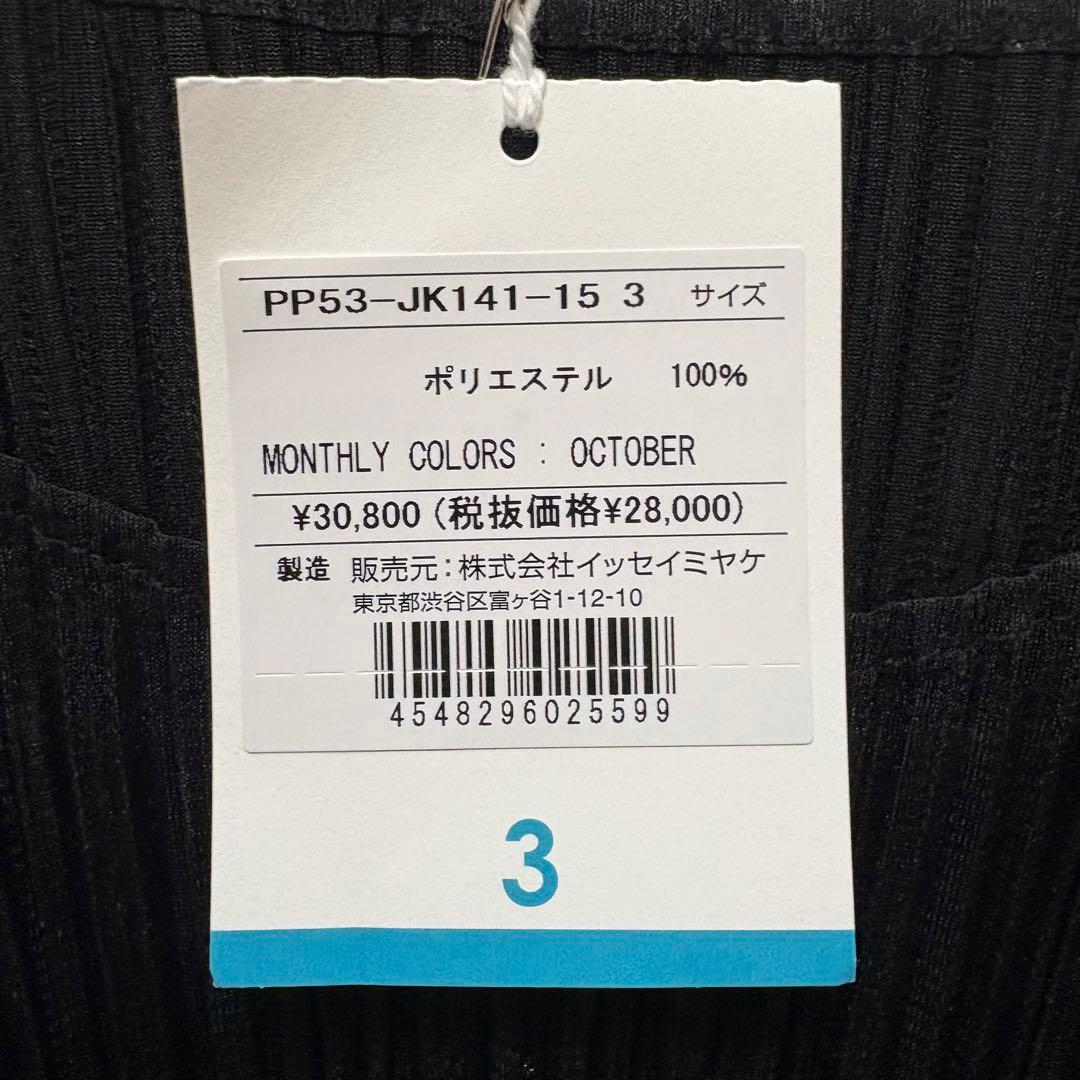 PLEATS PLEASE MONTHLY COLORS ブラック　3