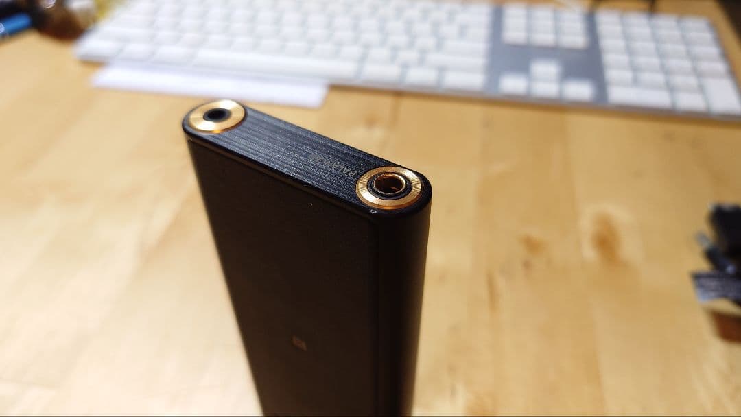 ポータブルプレーヤー SONY NW-ZX300