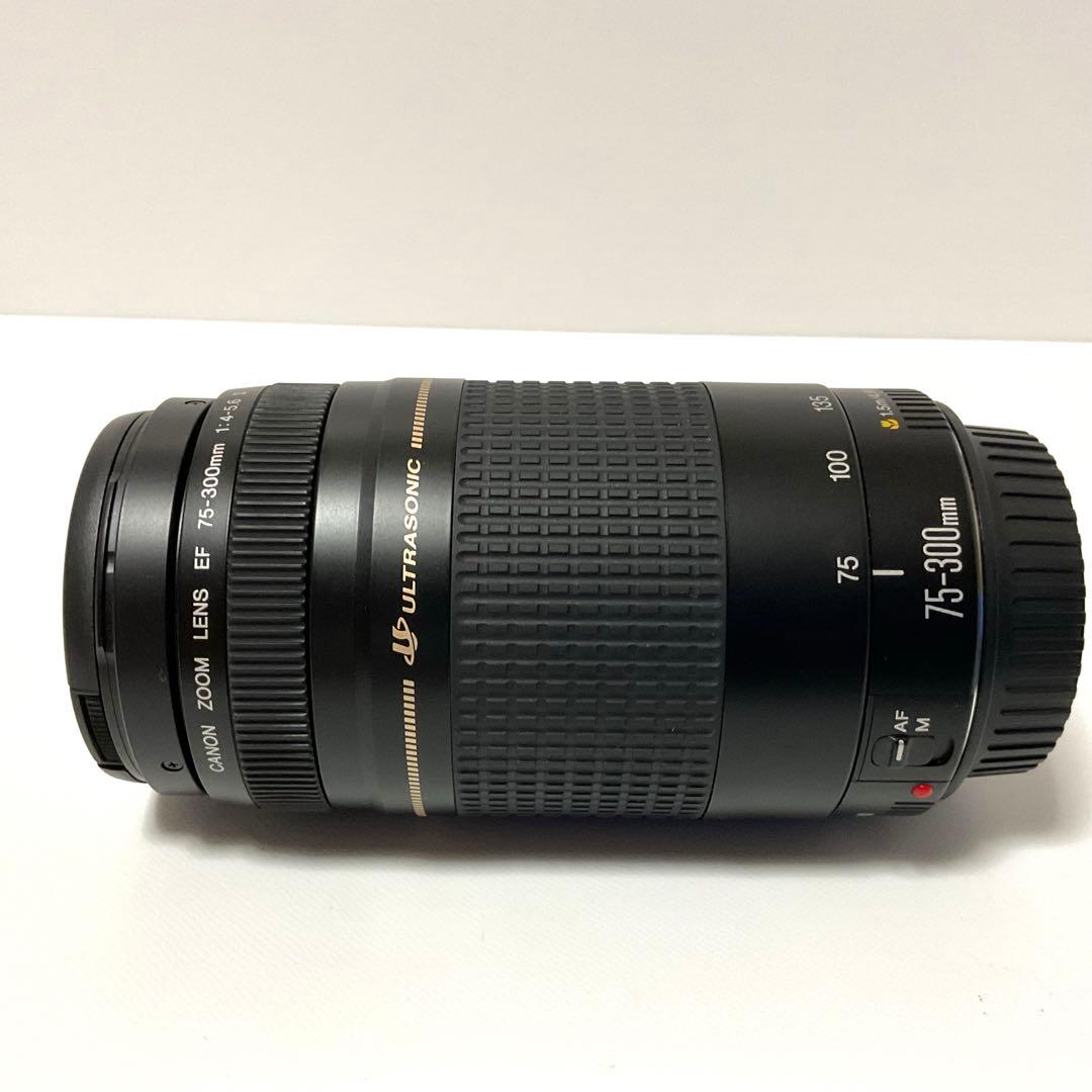 CANON キャノンズームレンズ　EF 75-300 F4-5.6Ⅱ ケース付き