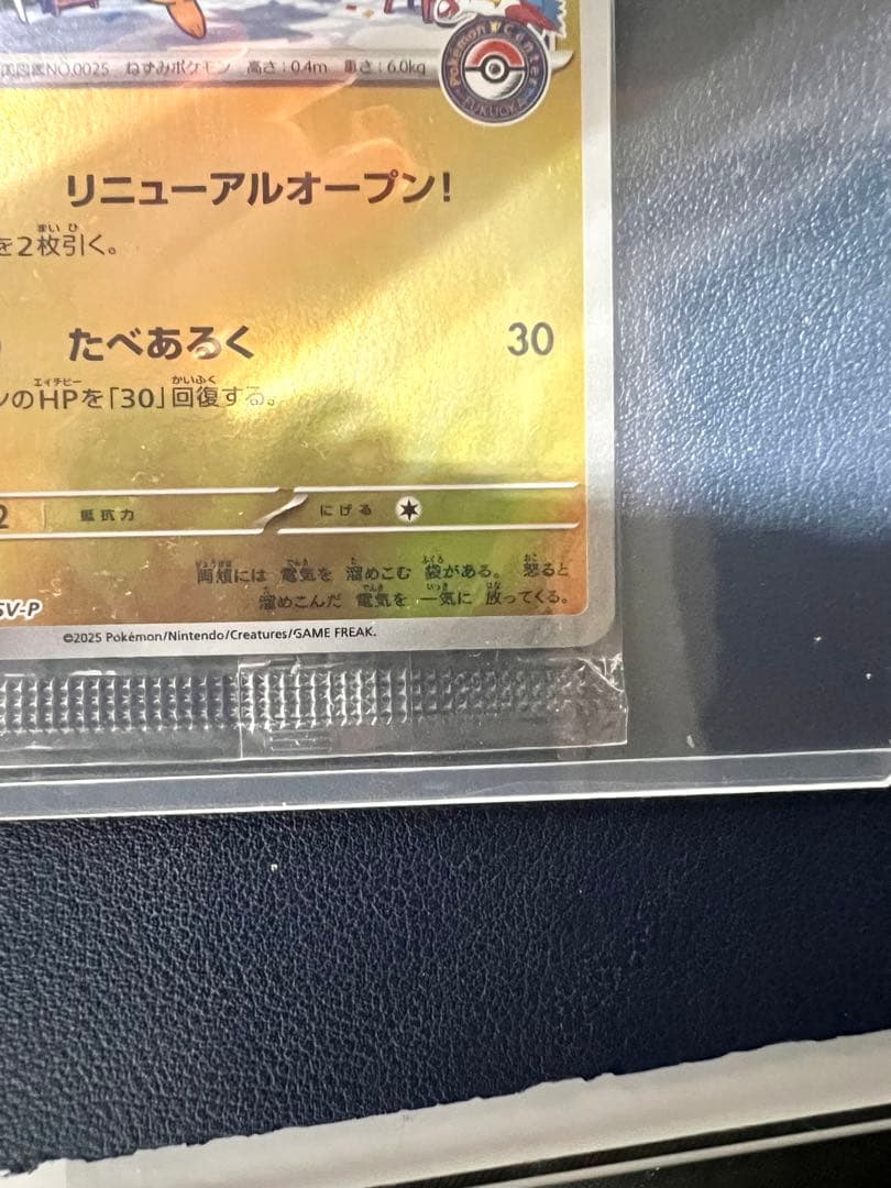 フクオカのピカチュウ PSV-P 289スペシャルBOXポケモンセンターフクオカ