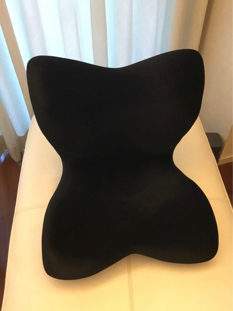 超美品✨MTG Style PREMIUM DX&姿勢サポートチェア　2個セット