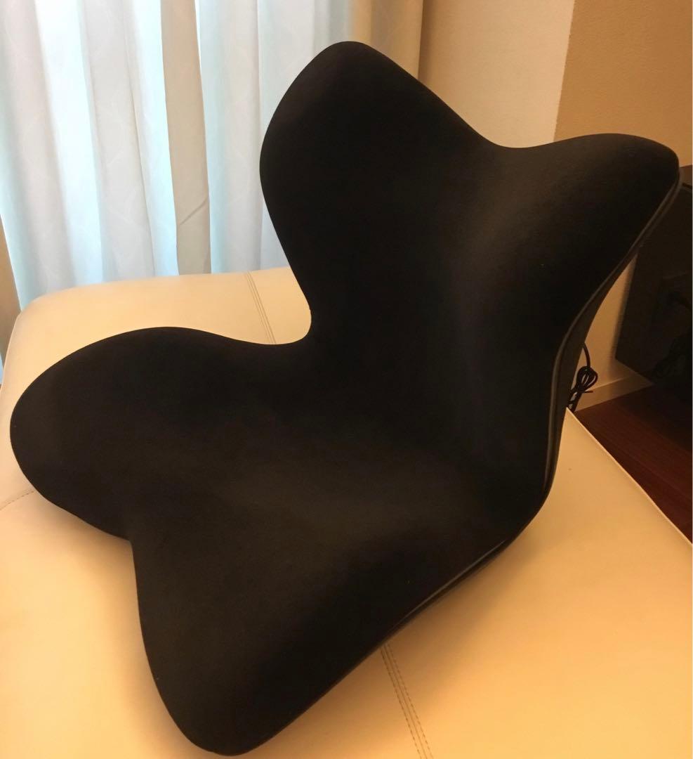 超美品✨MTG Style PREMIUM DX&姿勢サポートチェア　2個セット