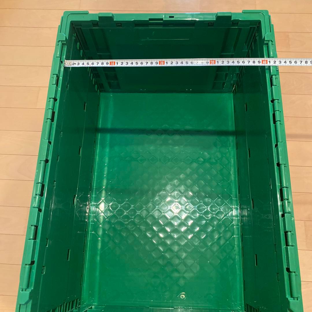 ヒューマンメイド 74L GREEN ロゴプリントコンテナ　限定　レアカラー