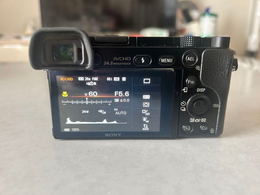 SONY α6000 ミラーレス一眼 アルファ6000 ILCE-6000Y