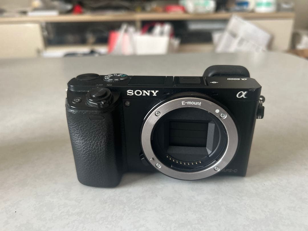 SONY α6000 ミラーレス一眼 アルファ6000 ILCE-6000Y