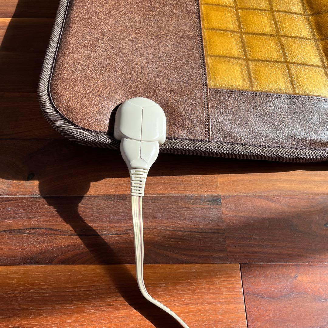 定価20万円　岩盤浴マット ブラックシリカ ゲルマニウム ラドン 3種プレート