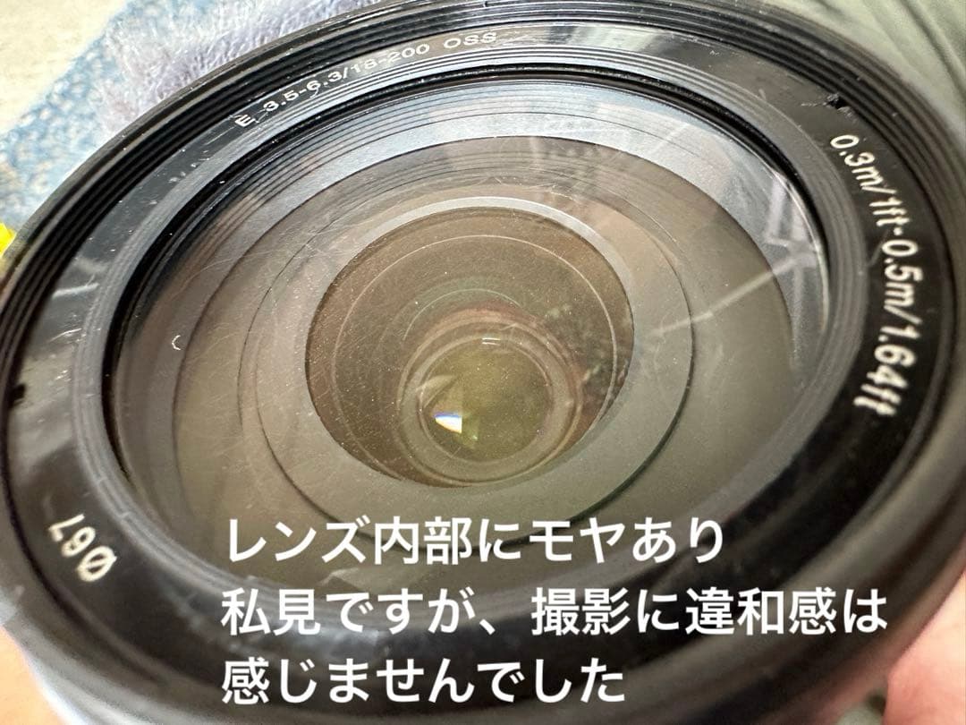 【動作品】SONY NEX-VG20 + E18-200mm F3.5-6.3