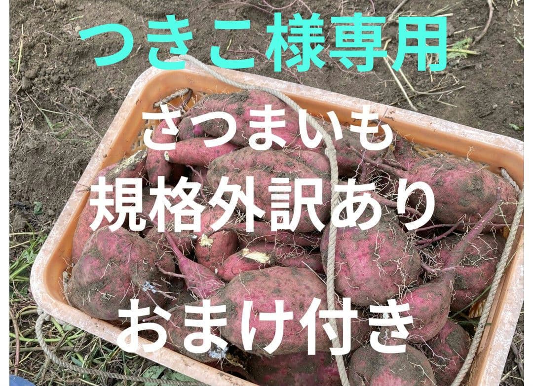 つきこ規格外さつまいも おまけ付き