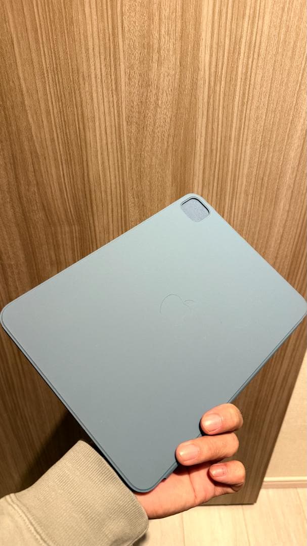 iPad本体 iPad Pro (M4) 11 inch Wi-Fi 256GB(A2836)