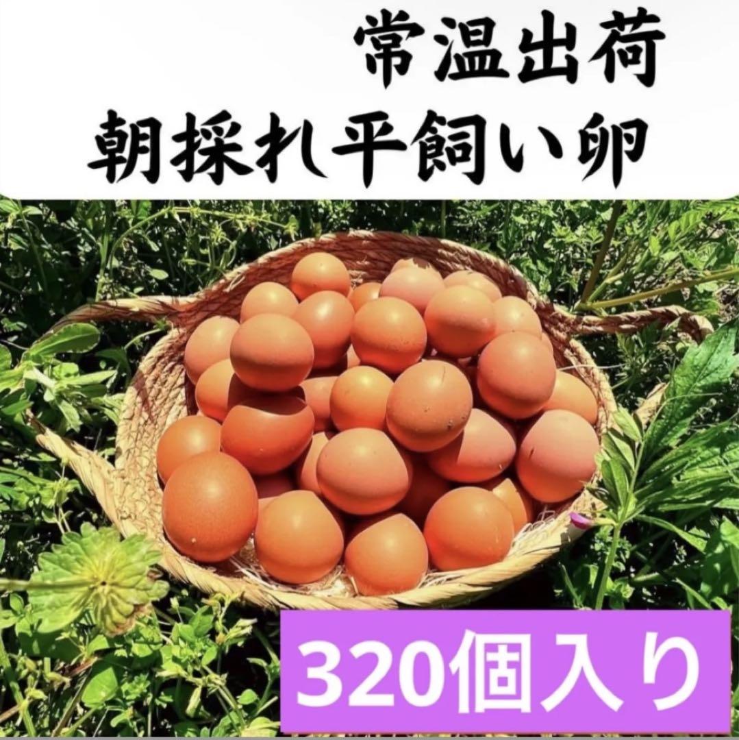 平飼い鶏卵 320個入り 大分県産