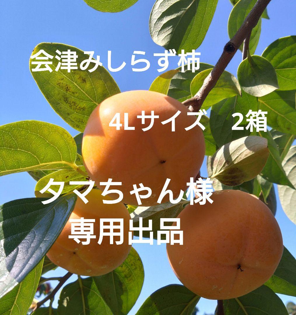 会津みしらず柿　会津身知らず柿　B級品　4Ｌサイズ　15個入り✕2箱　30個　2
