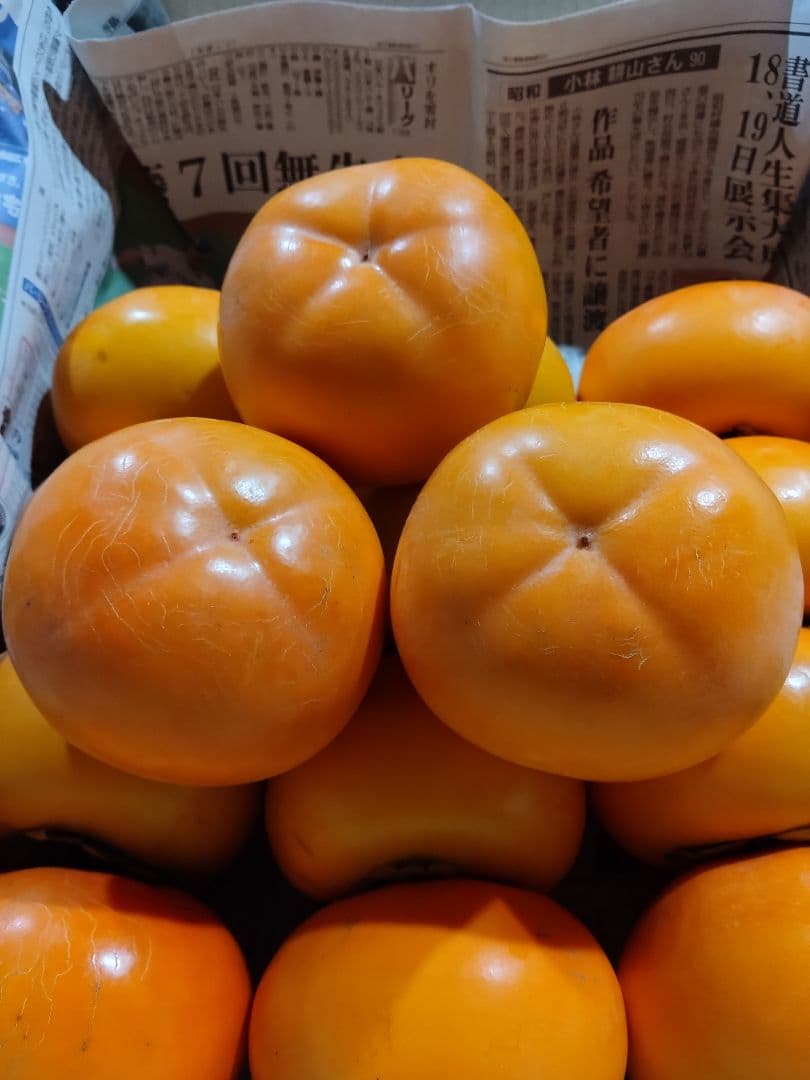 会津みしらず柿　会津身知らず柿　B級品　4Ｌサイズ　15個入り✕2箱　30個　2