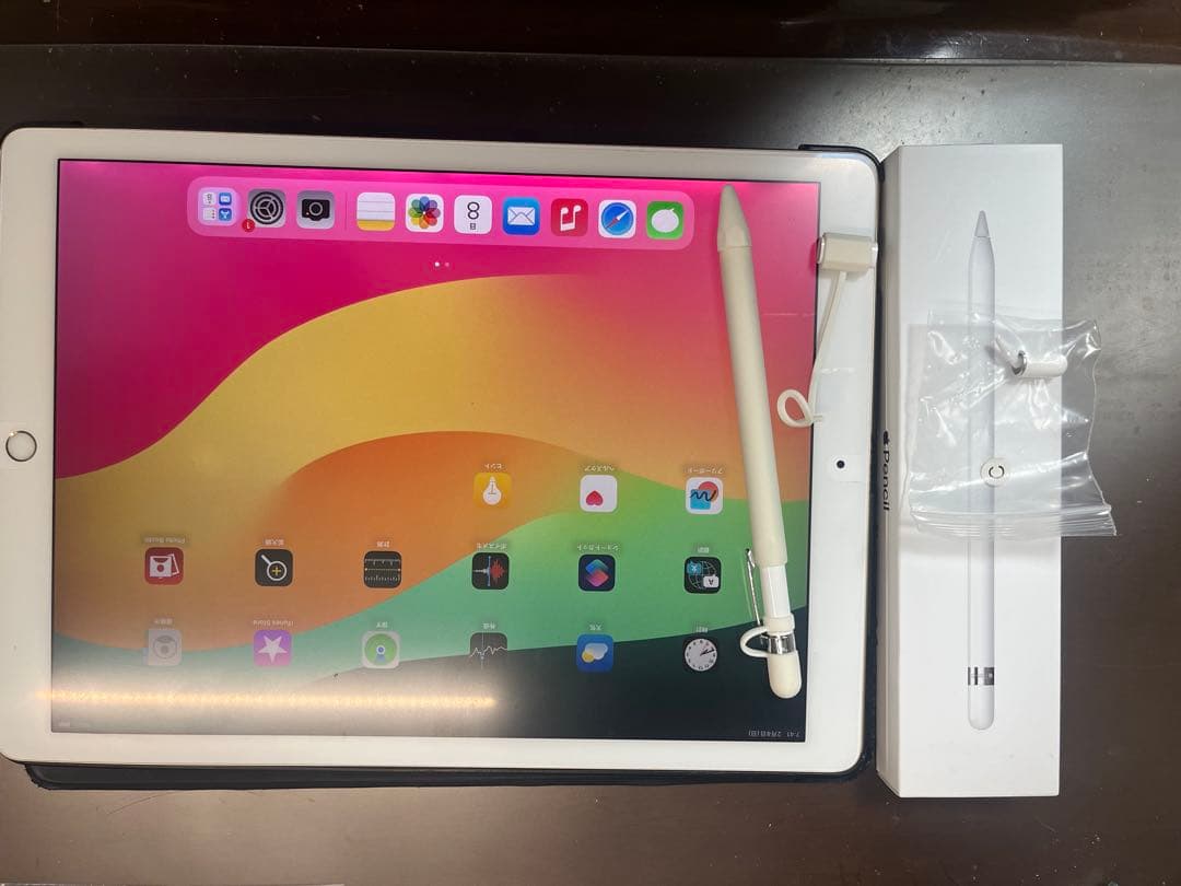 iPad Pro 12.9インチ 第2世代 Wi-Fi 64GBバッテリー89%