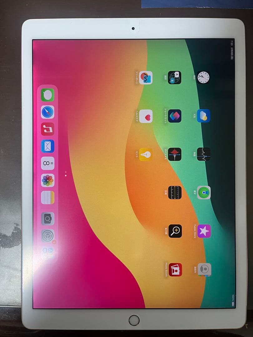 iPad Pro 12.9インチ 第2世代 Wi-Fi 64GBバッテリー89%