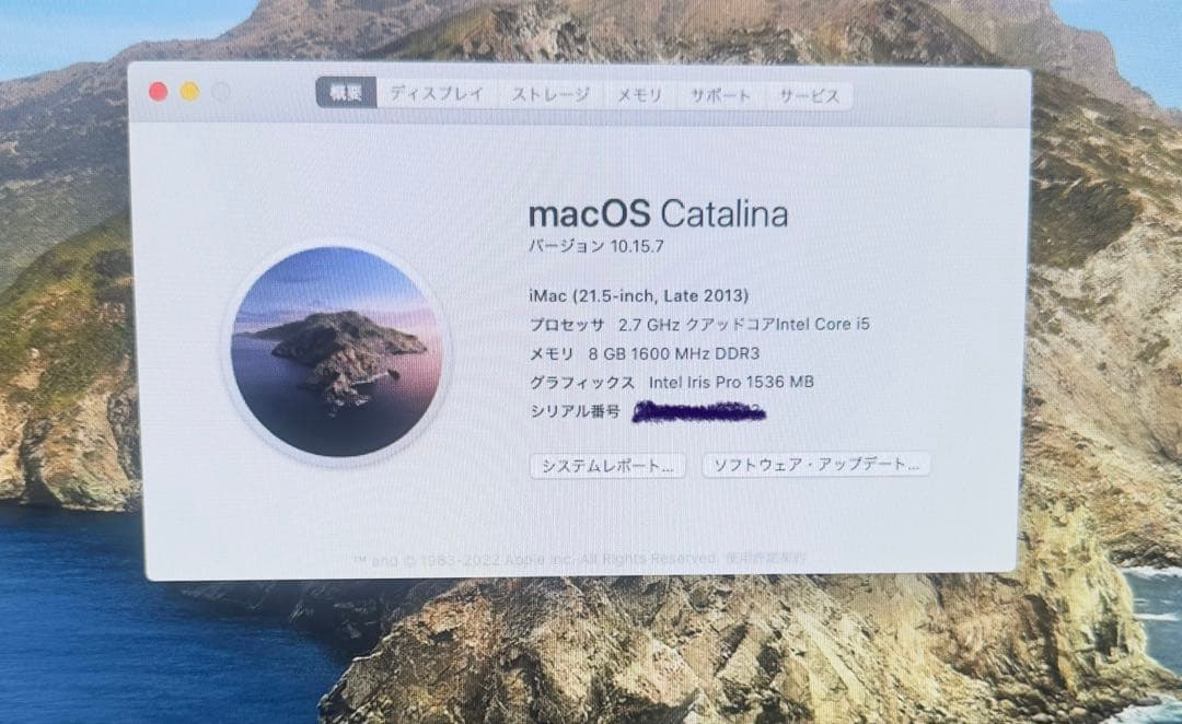 Apple iMac 21.5インチ 1 TB HDD
