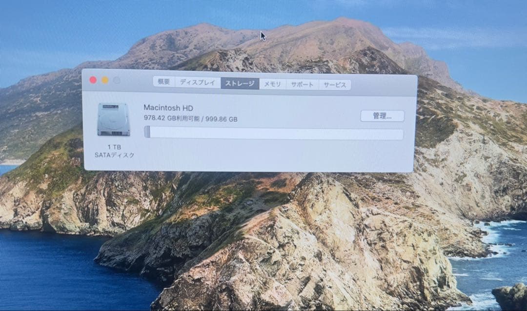 Apple iMac 21.5インチ 1 TB HDD