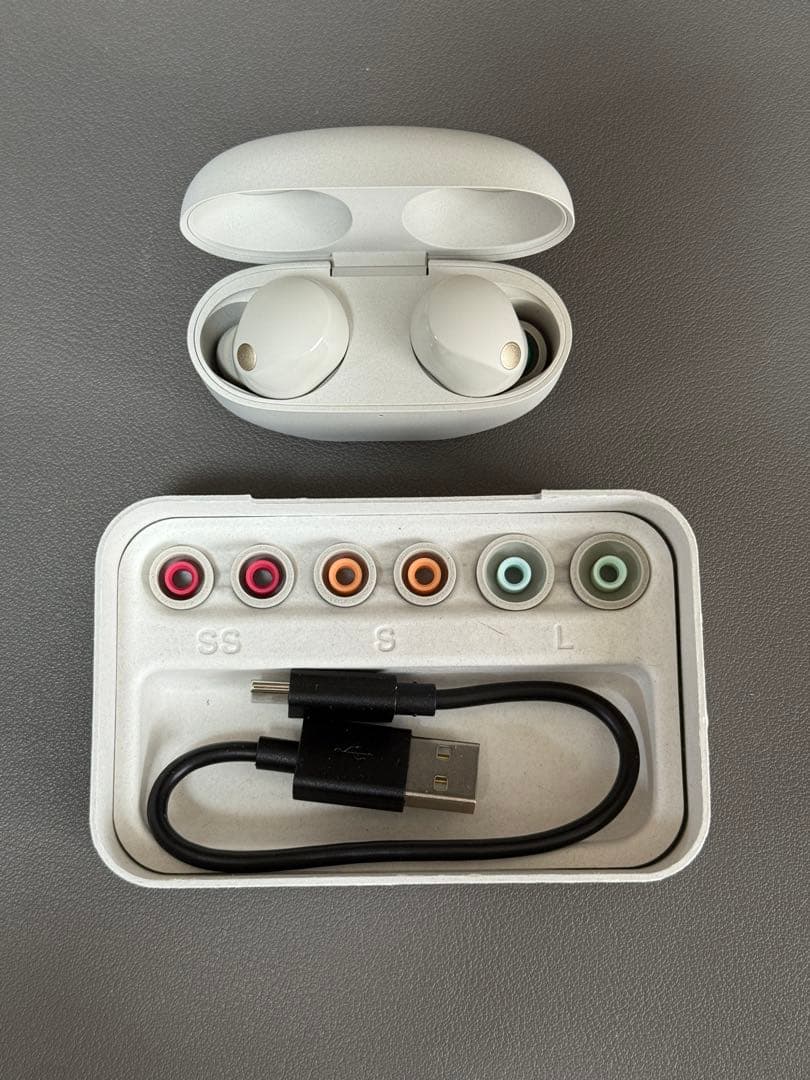 SONY WF-1000XM5 SONY ワイヤレスイヤホン