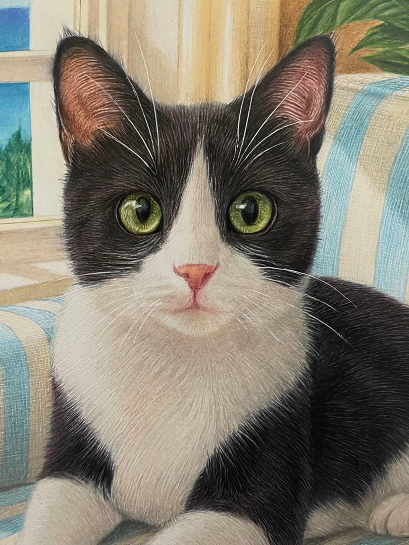 色鉛筆画 A4 ハチワレ猫130