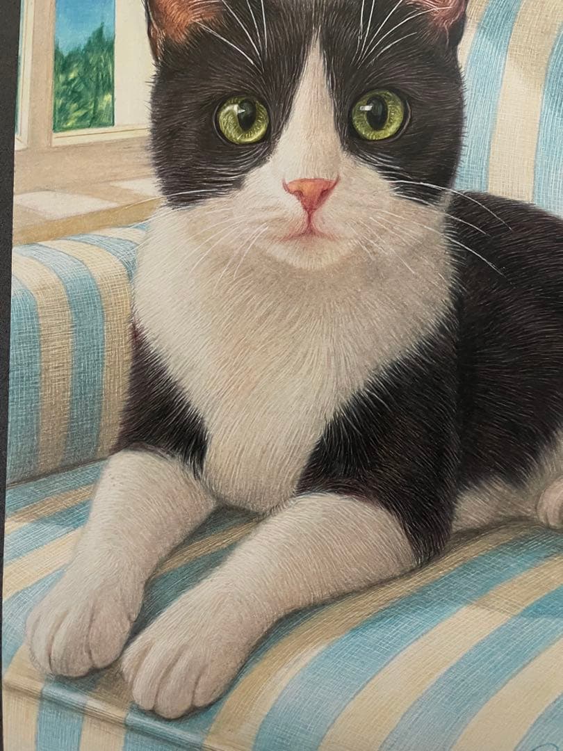 色鉛筆画 A4 ハチワレ猫130