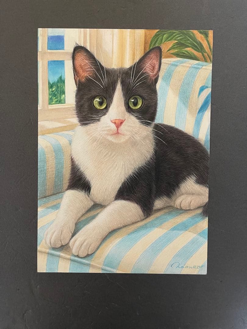 色鉛筆画 A4 ハチワレ猫130