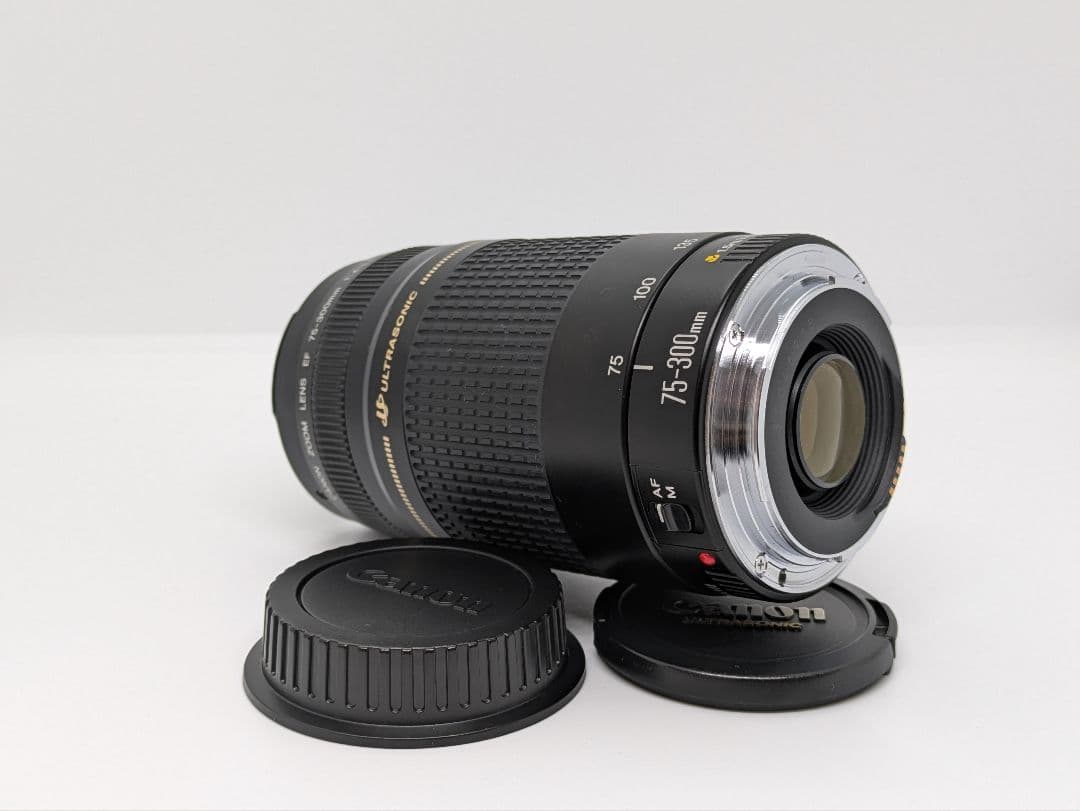 1月27日限定【超望遠レンズ】Canon EF 75-300mm Ⅱ USM
