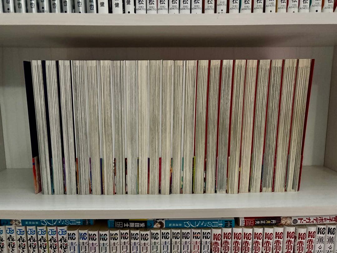 逃げ上手の若君 全巻 帯付き 初版