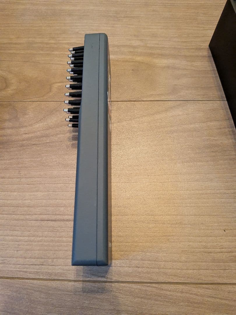 Brightee EEK BRUSH 美顔器　スカルプ　全身ケア　ミッキーマウス