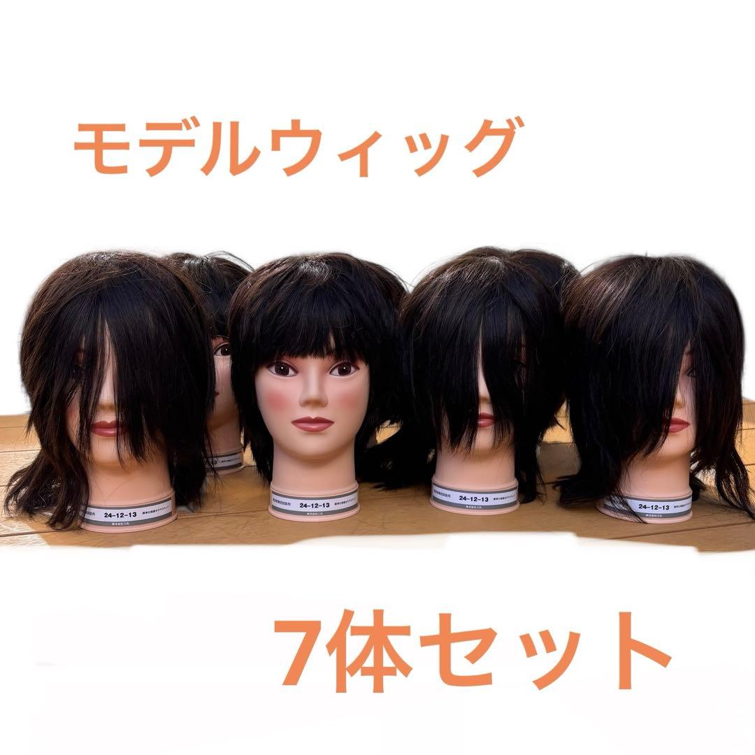 美容師 理容師 カットウィッグ 国家試験用 7体セット