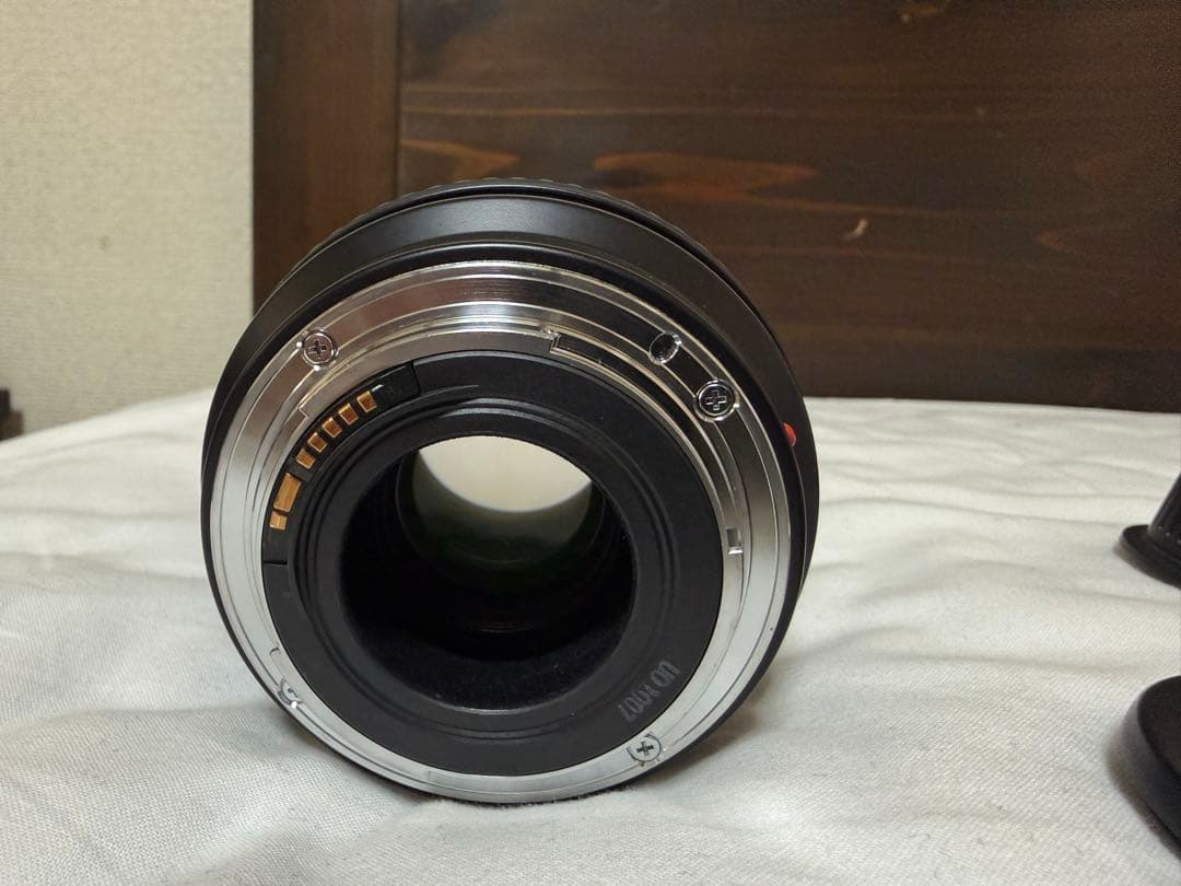 曇りあり　Canon EF 28-70 f2.8 L 大三元レンズ