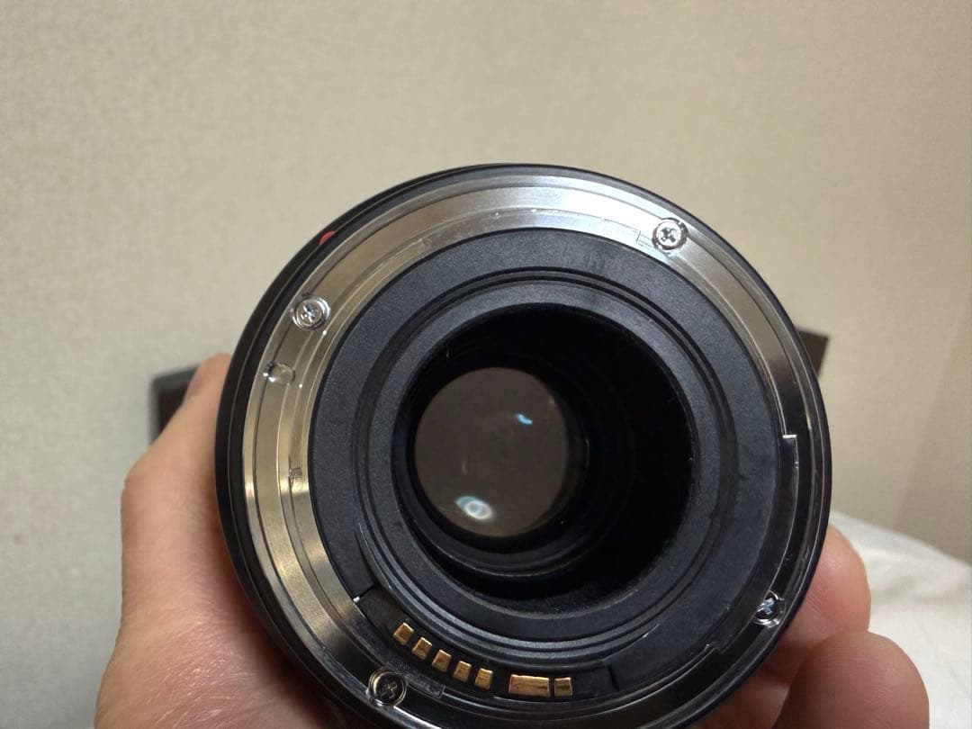 曇りあり　Canon EF 28-70 f2.8 L 大三元レンズ