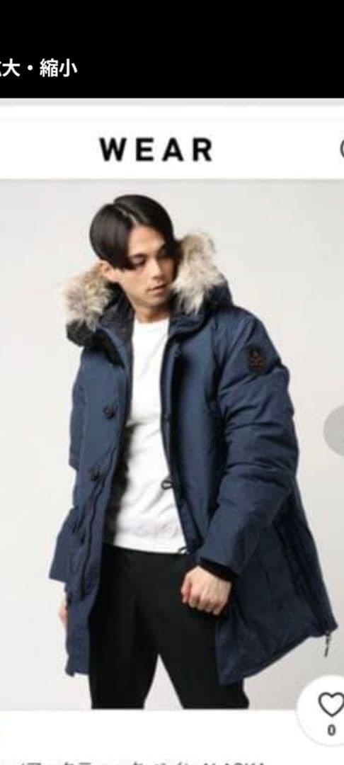 【ポンちゃん】アークティックベイ　ARCTIC BAY