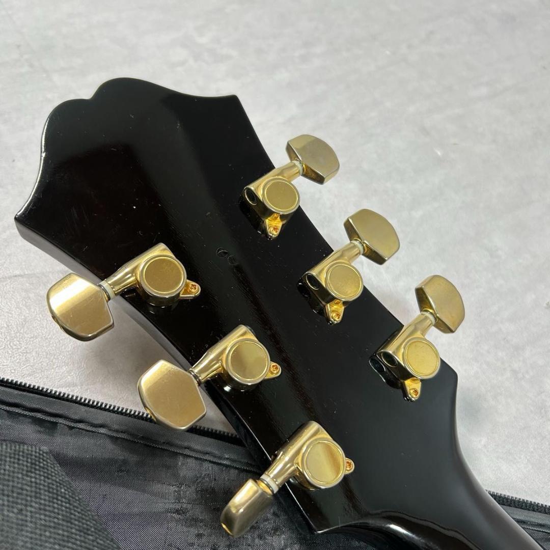 Epiphone × WILD TURKEY エピフォン×ワイルドターキー 限定