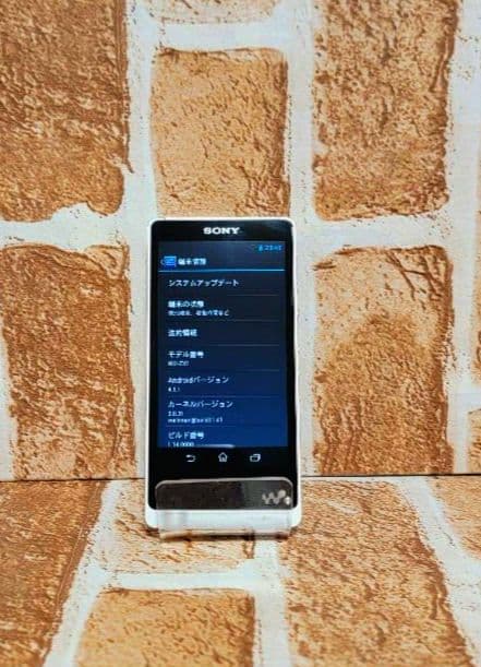 ポータブルプレーヤー SONY WALKMAN NW-ZX1