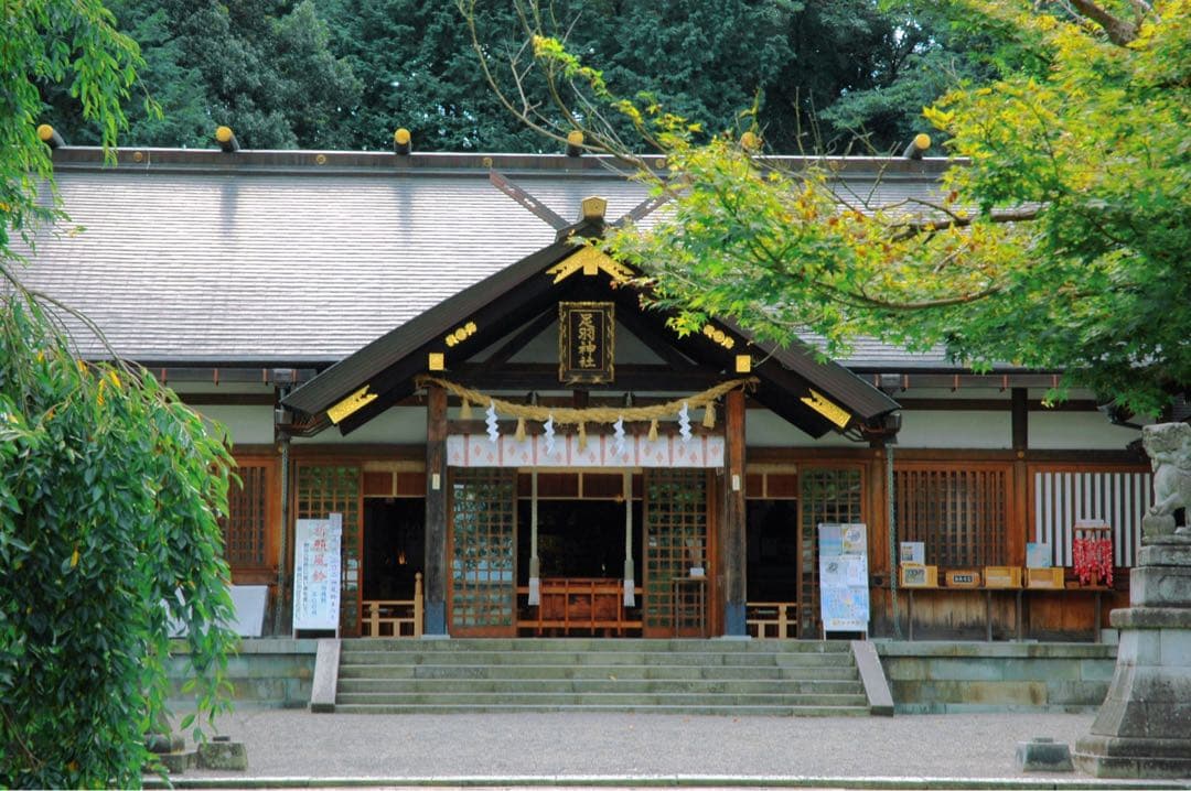 Nikon D70s レンズキット 一式セット 【正常動作品】 | 最終値下げ