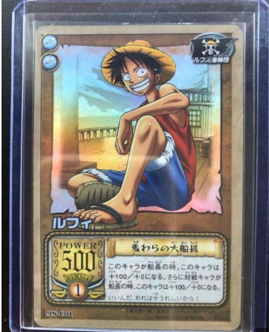 ワンピースルフィ