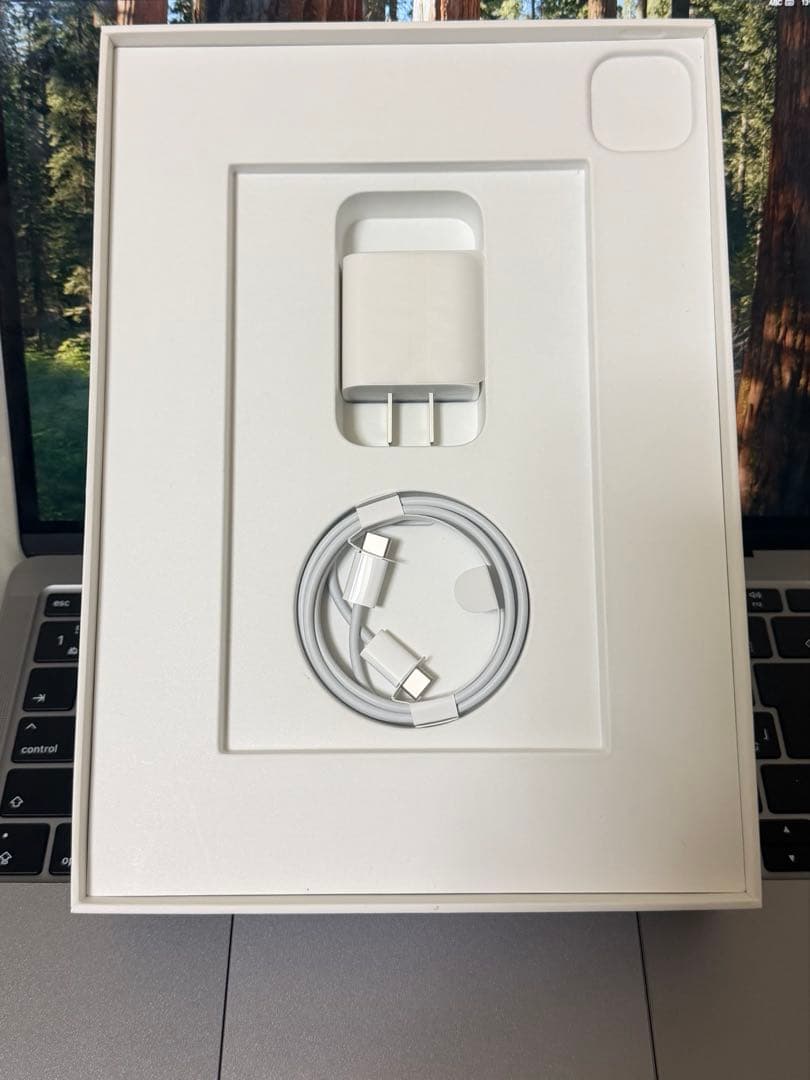 【美品】iPad Pro 11インチ　第3世代 wifiモデル128GB 黒