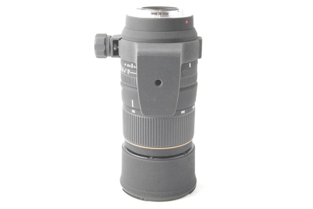 ≪SONY A≫SIGMA 135-400mm F4.5-5.6 APO DG