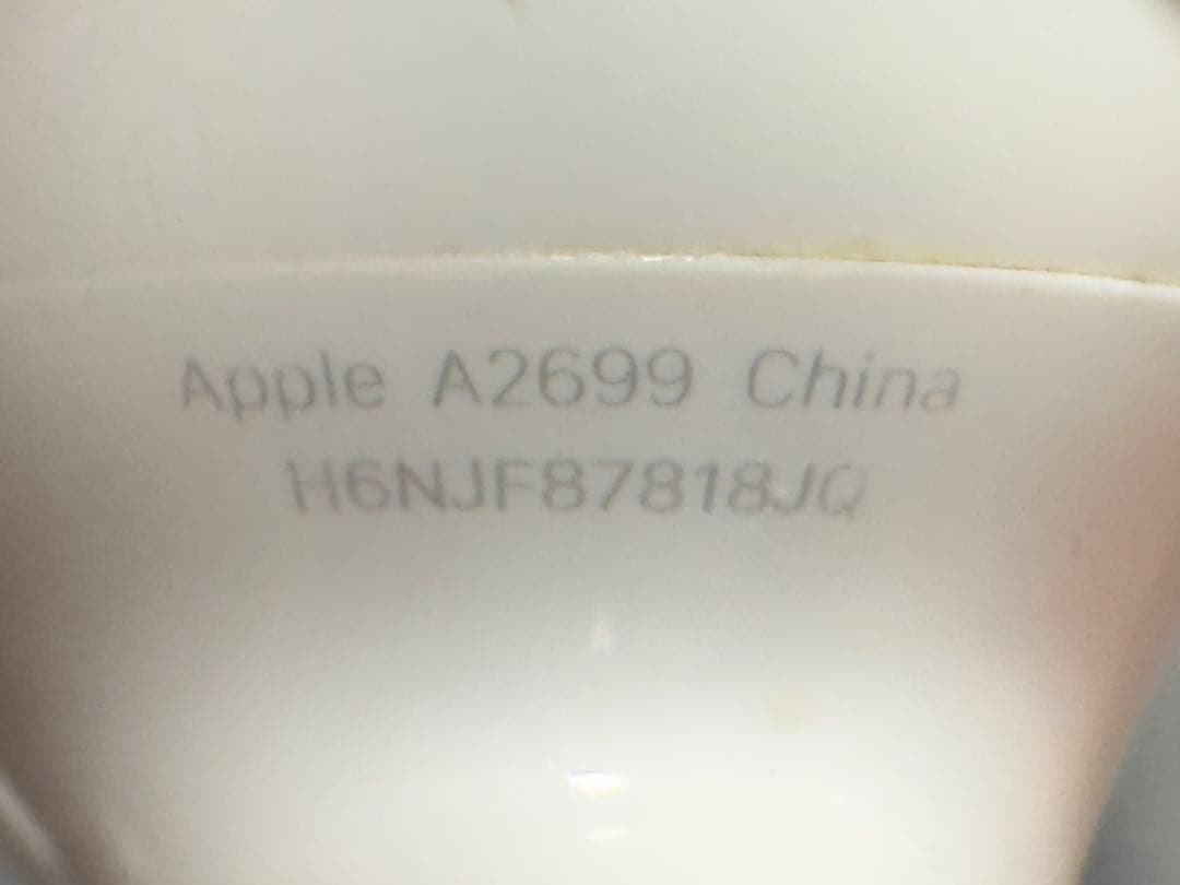 Apple社正規品AirPods Pro第二世代 (Lightning)